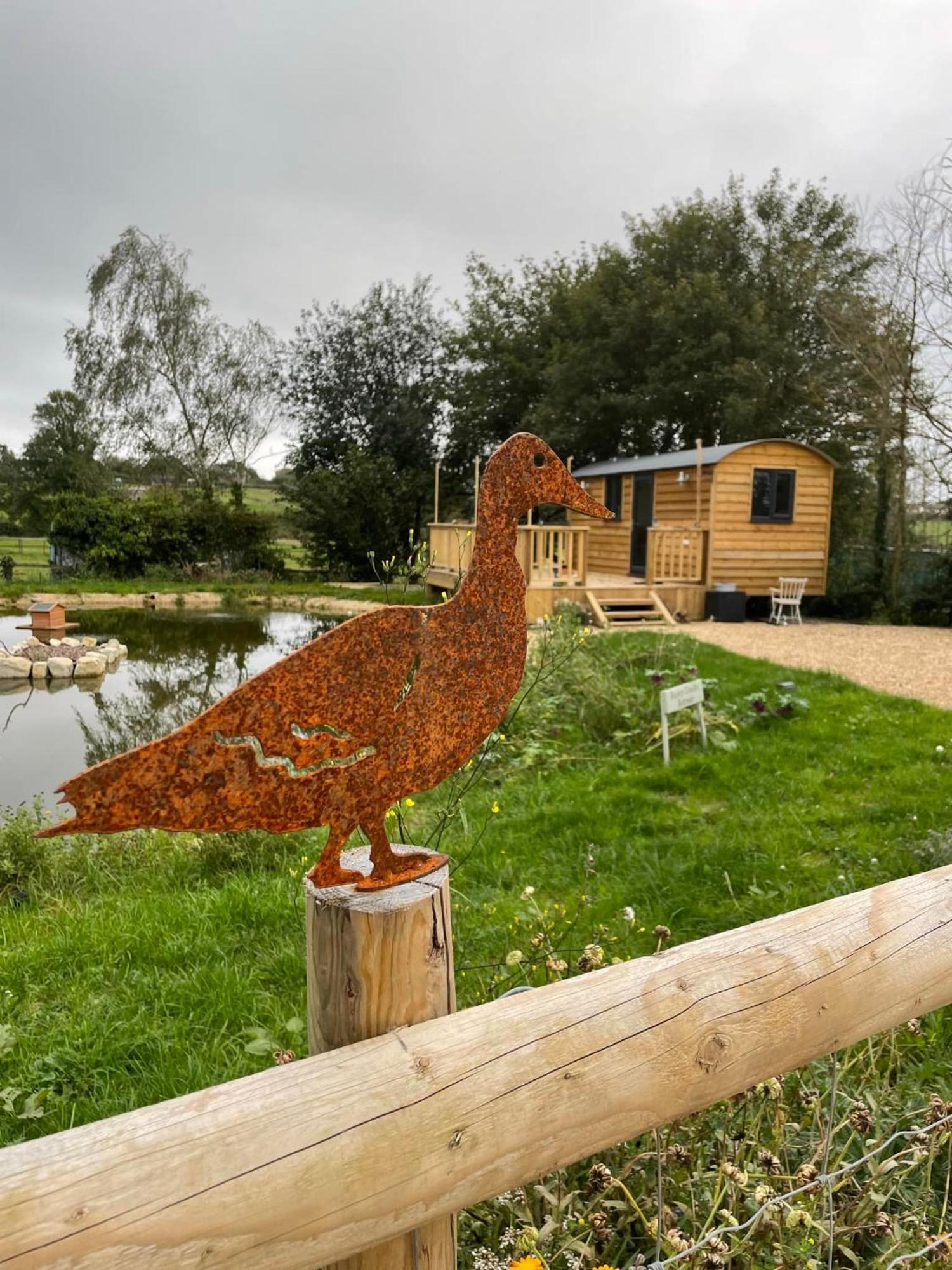 Rusty Duck Retreat Shepherds Hut Shedfield Zewnętrze zdjęcie